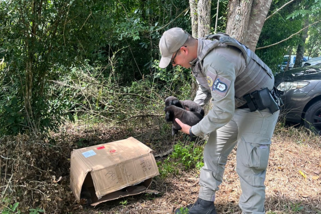 No interior do Vale do Taquari, Brigada Militar resgata filhotes abandonados durante procissão